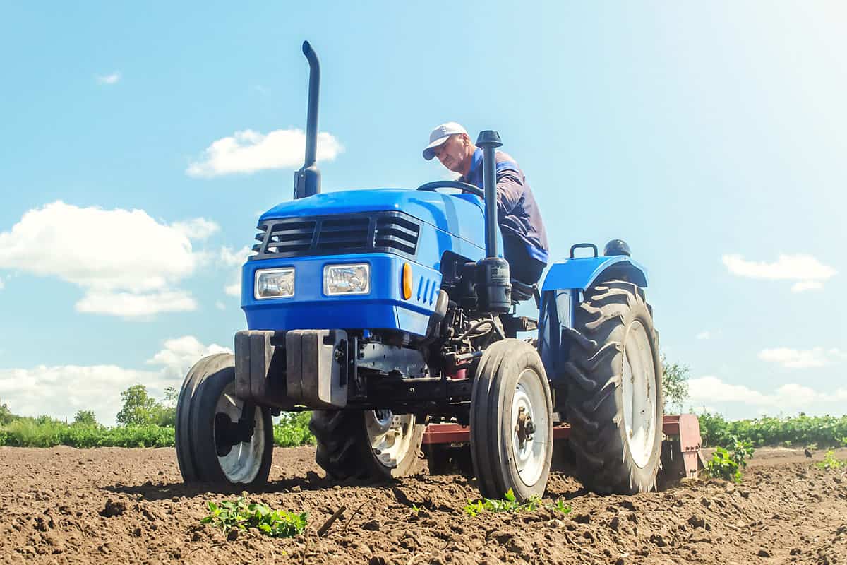 Cet agriculteur parvient à faire pousser des légumes sans une goutte d'eau