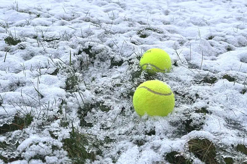 Balles de tennis dans le jardin