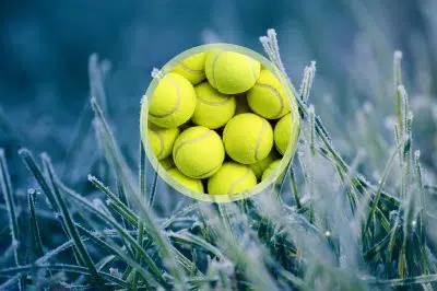 Balles de tennis dans le jardin l'hiver