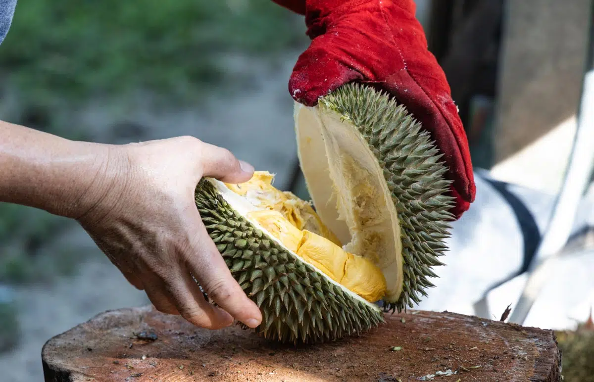 Durian