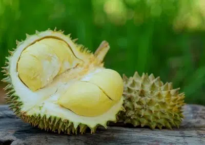 Durian, un fruit qui commence par la lettre D