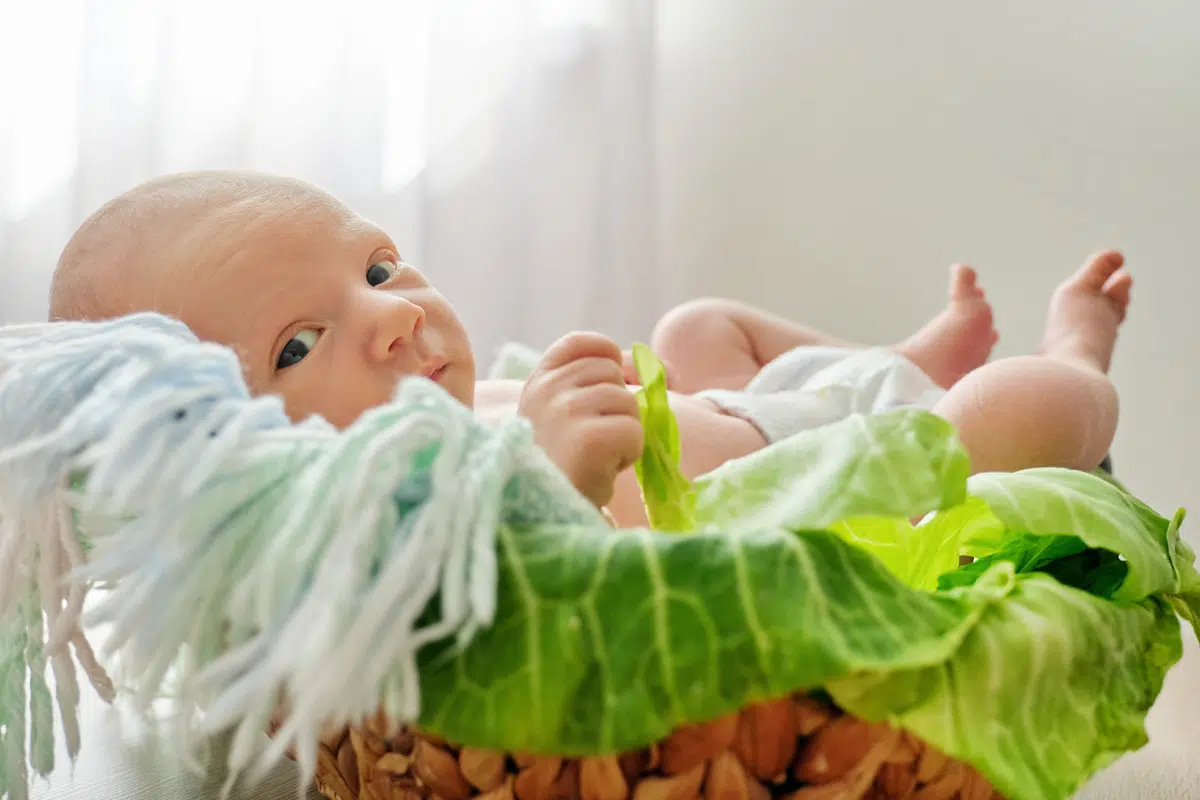 Bébé avec des feuilles de choux.