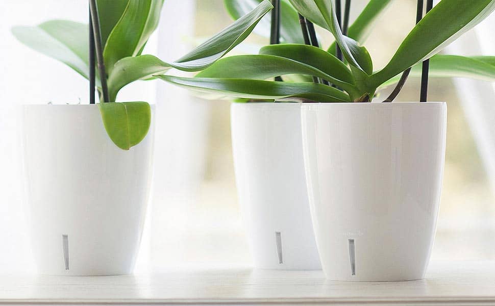 Pot adapté pour les orchidées. Maintien de l'humidité.