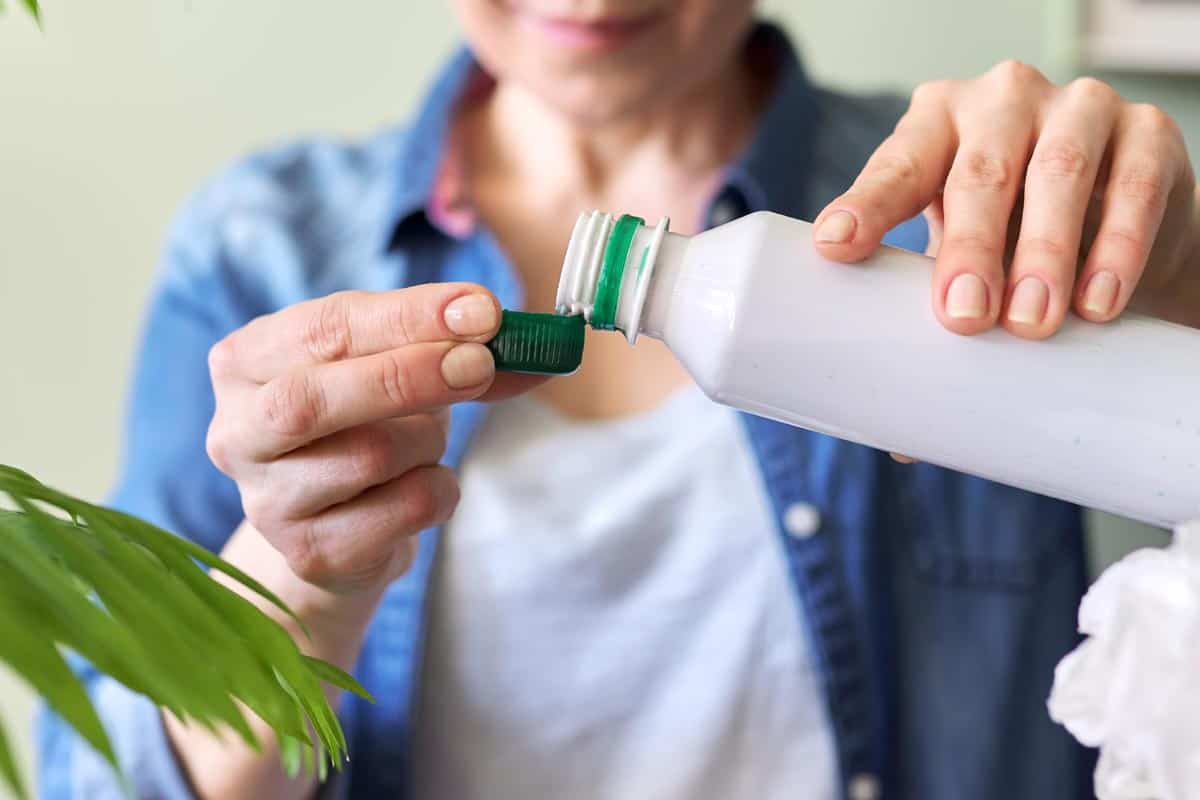 Engrais liquide plantes d'intérieur