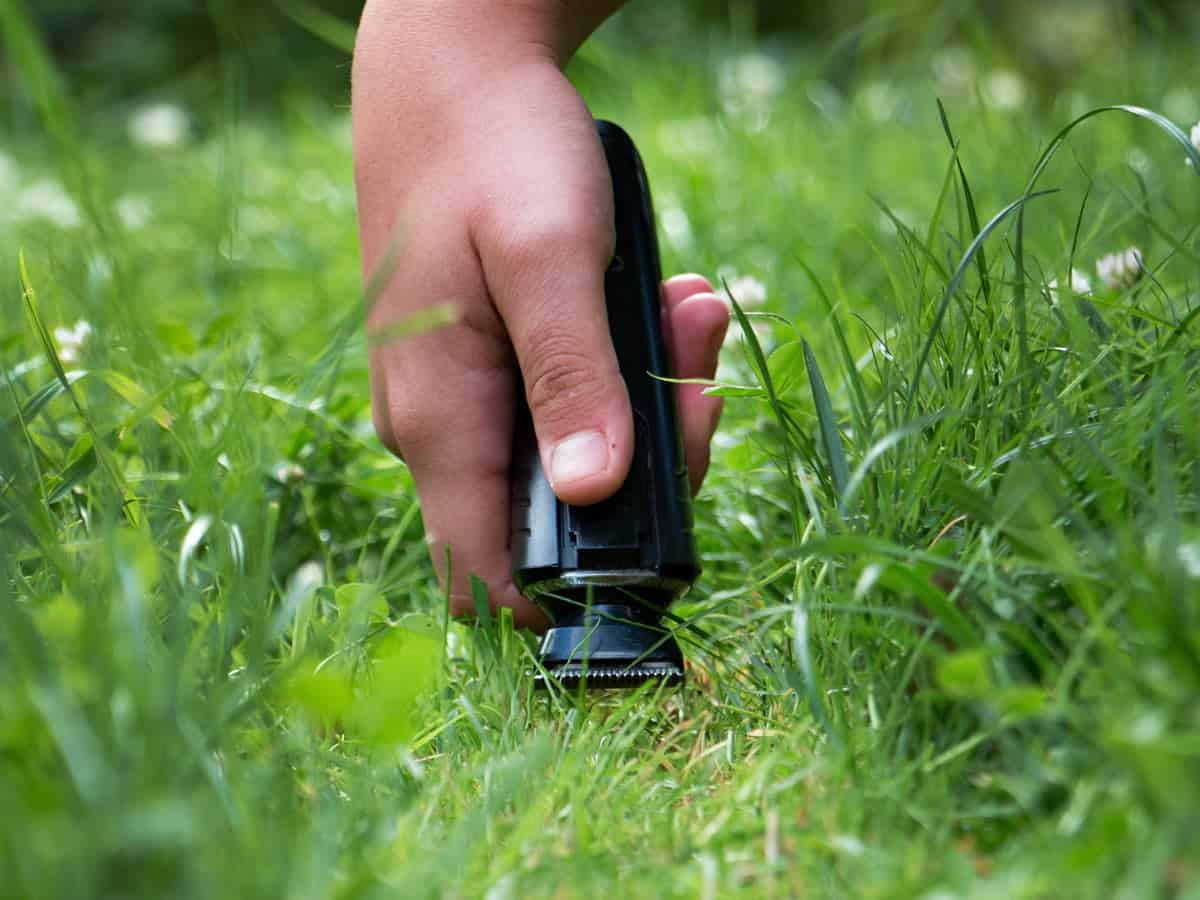 Comment fertiliser son gazon pour un tapis bien vert au printemps ?
