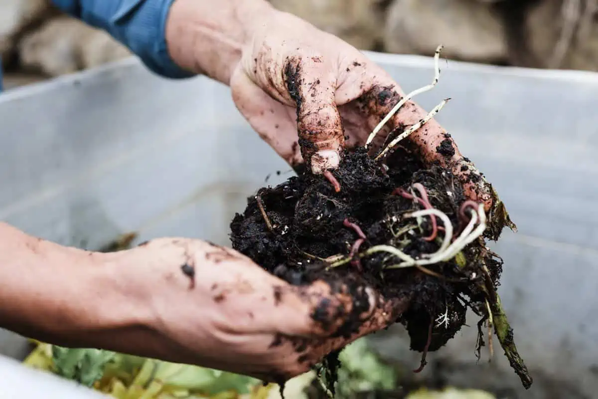 Réussir son compost