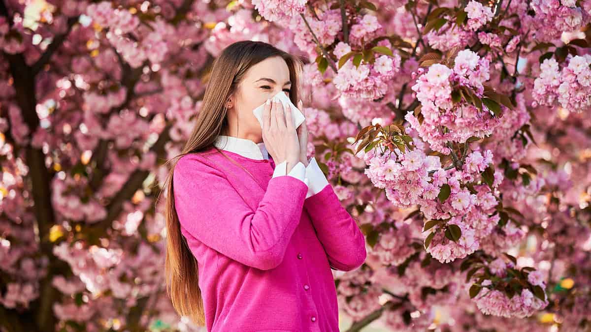arbres éviter en cas d'allergie au pollen