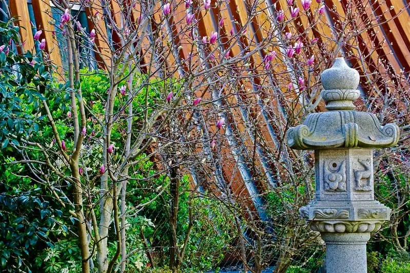 jardin ichikawa