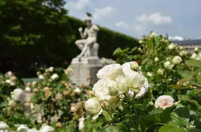 Jardin du Palais-Royal