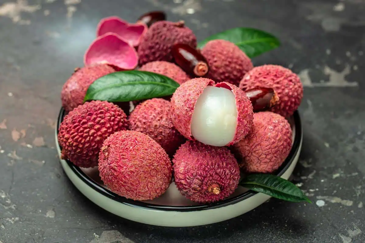 Litchi