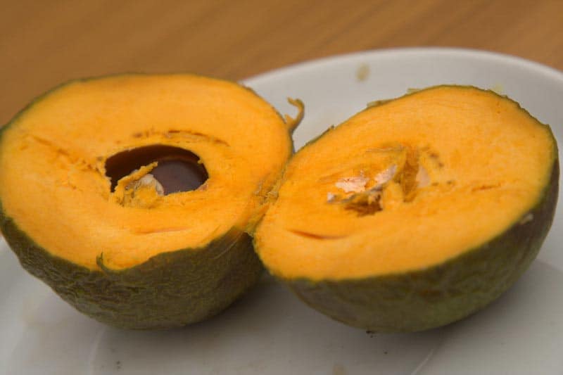 Lucuma