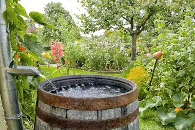 Quelle contenance choisir pour un récupérateur d’eau de pluie ? © SCHULZIE / STOCK.ADOBE.COM