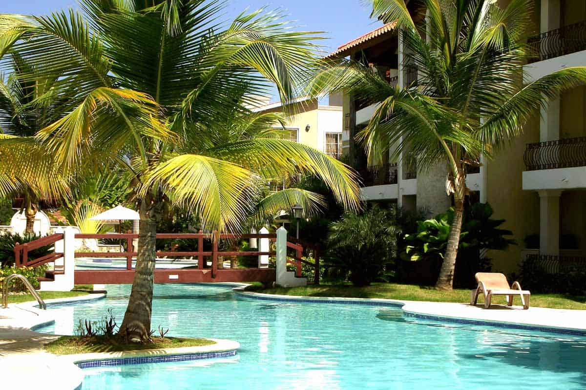 Influence des arbres près d'une piscine.