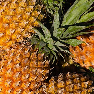 Fruits en A