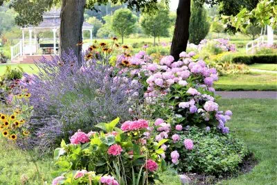 Un beau jardin au mois de juin