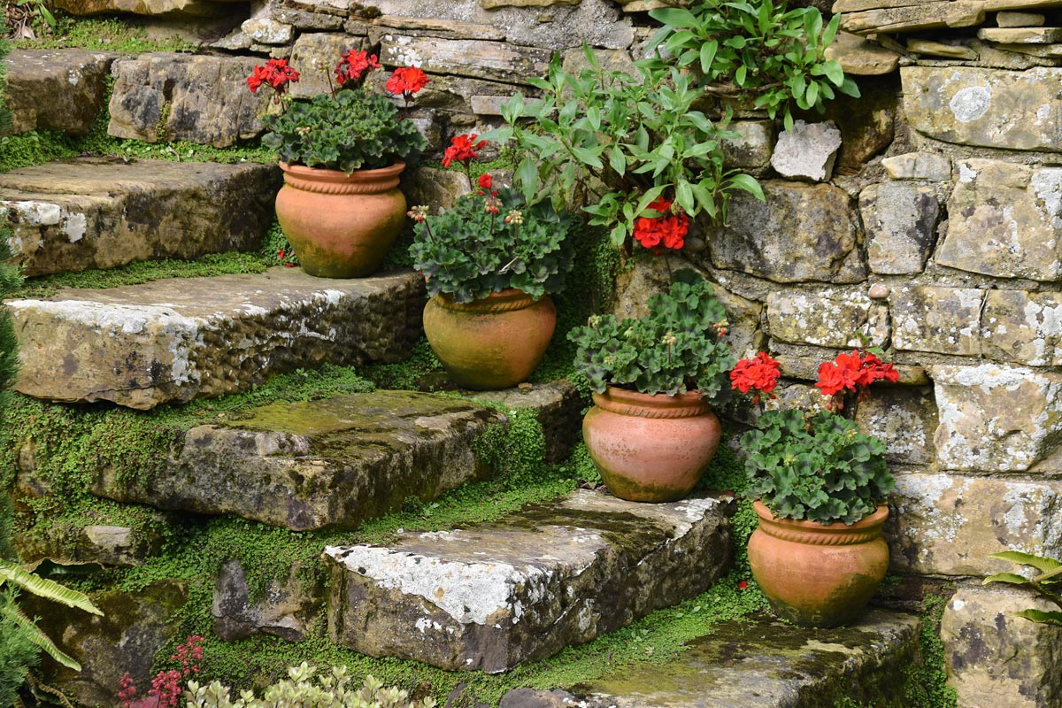 mousse escalier
