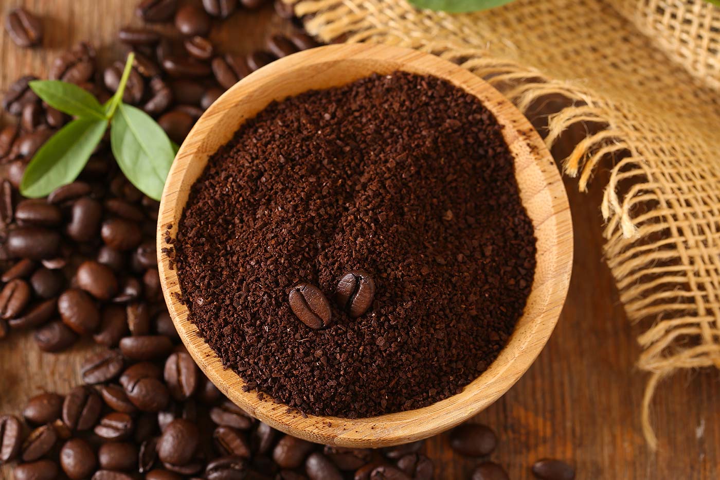 Le marc de café : l'or brun de votre jardin que vous gaspillez sans le savoir
