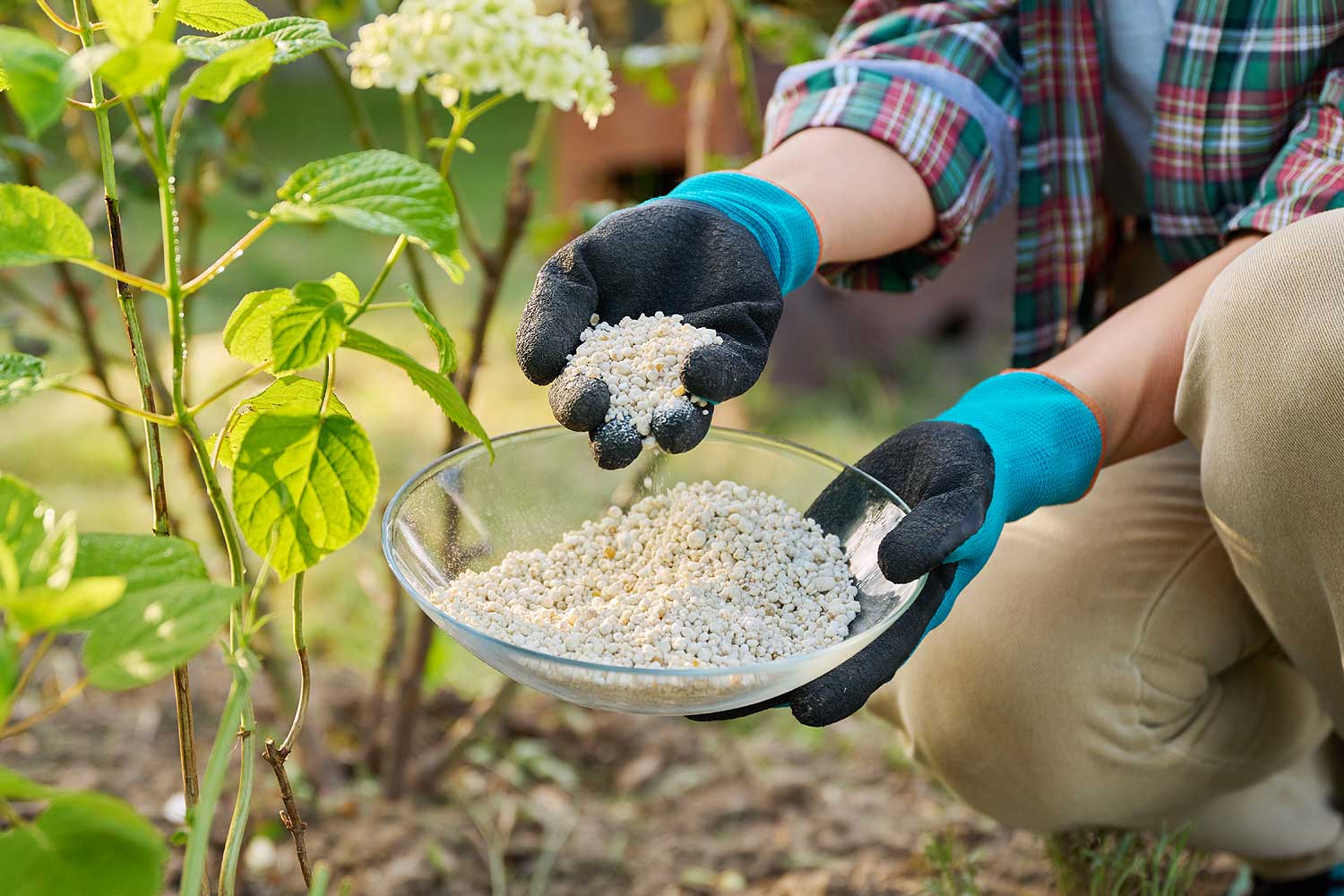 fertilisation en automne
