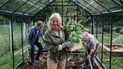 fabriquer une serre de jardin en polycarbonate
