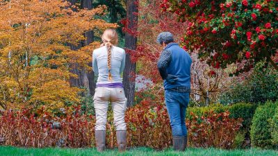 Plantes d'automne aux couleurs flamboyantes