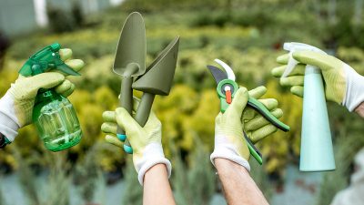 Nettoyage de vos outils de jardin en automne.