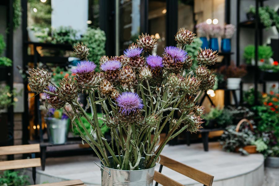 Bouquet de fleurs séchées
