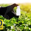 l'insecticide le plus efficace contre les invasions ©