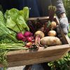 Abondance légumes