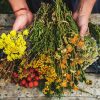 erreur avec vos fleurs séchées