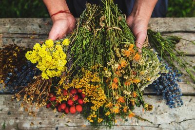 erreur avec vos fleurs séchées