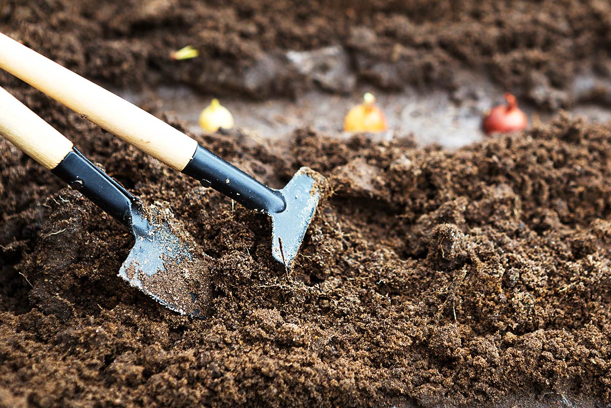 Cuillère en bois enterrée au jardin