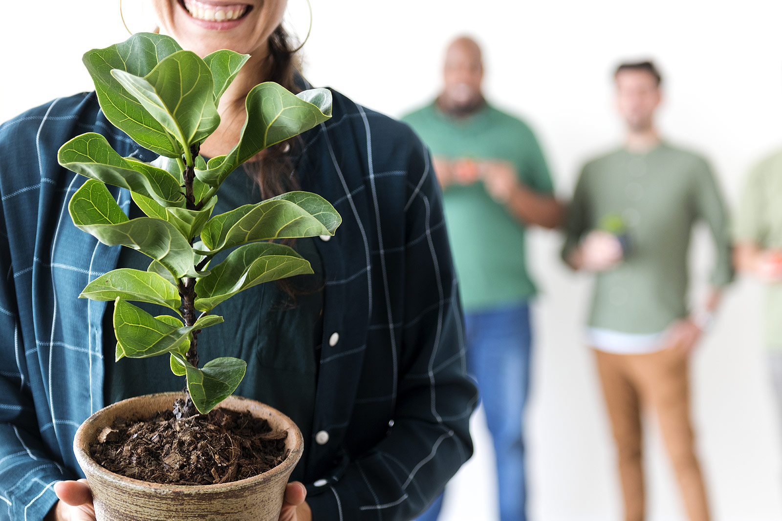Feng Shui et jardinage : ces plantes à éviter