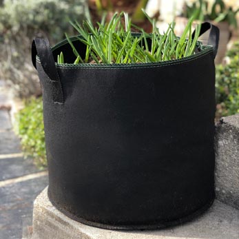 Sac à planter