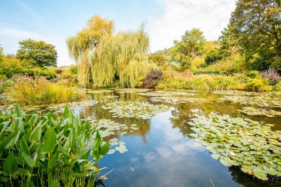 Les jardins de Giverny : source d'inspiration pour Claude Monet