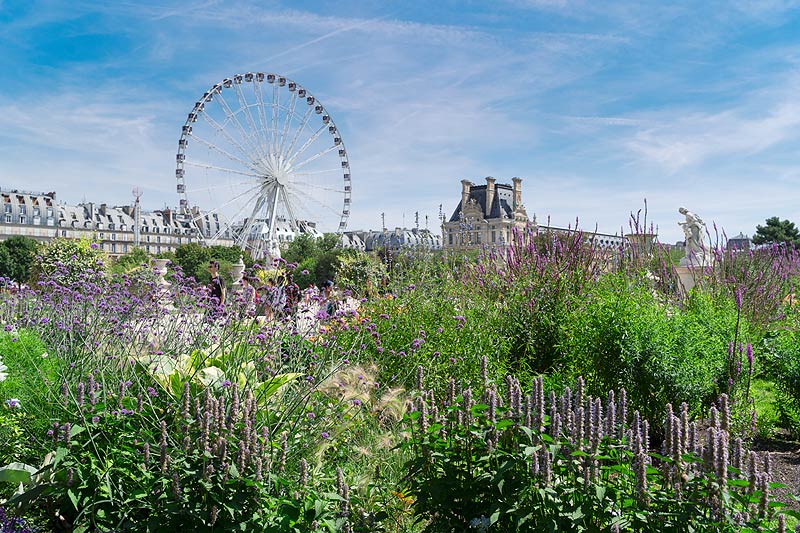 Jardin des Tuileries