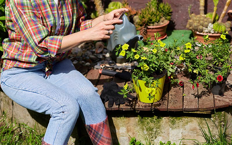Femme jardine assise près des plantes.