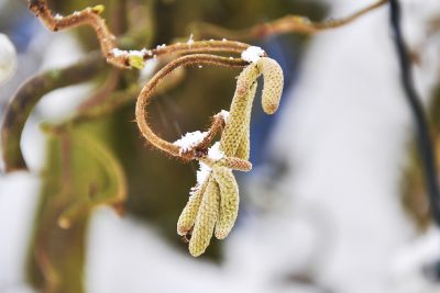 Neige de retour en mars