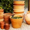 nettoyer ses pots en terre cuite avant de planter