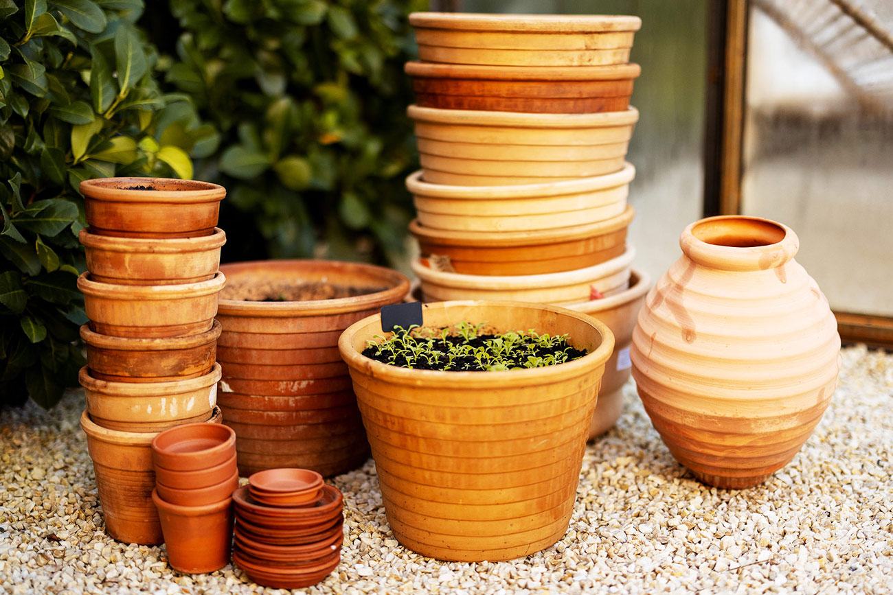 nettoyer ses pots en terre cuite avant de planter