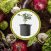 sac de plantations