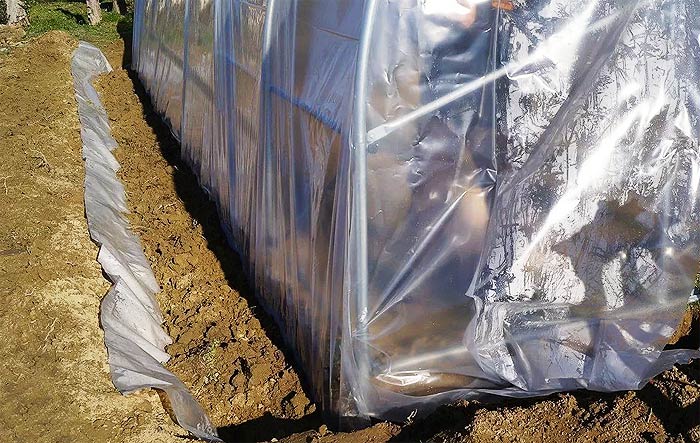 Photo installation de ma serre de jardin