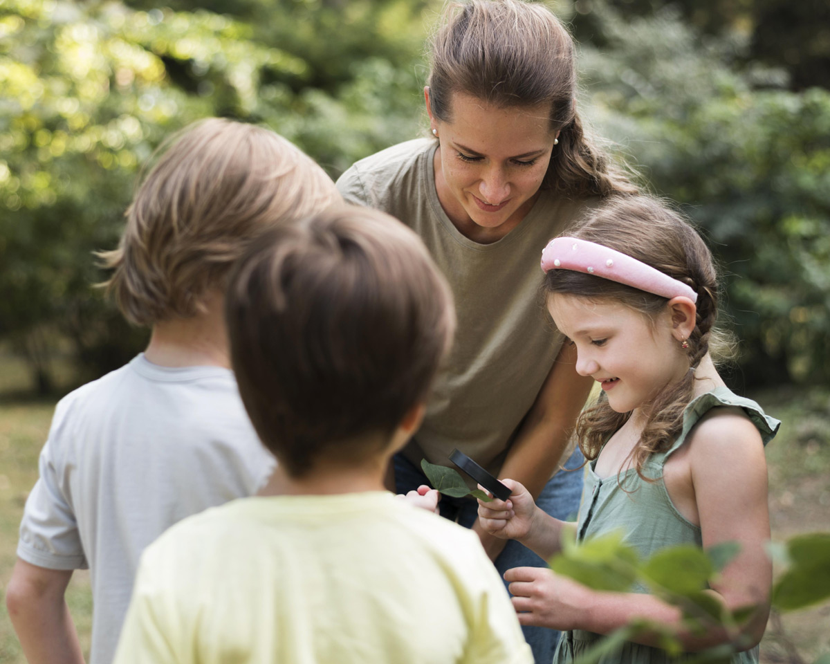 Observation des insectes à l'école