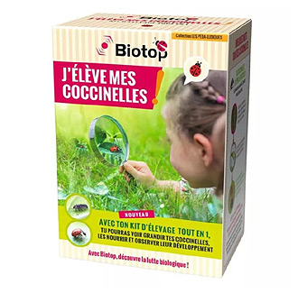 Kit d'élevage de coccinelles - Larves incluses