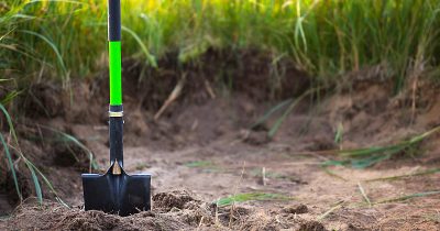 Choisir la pelle de jardin idéale