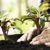 Travaux de jardinage interdits
