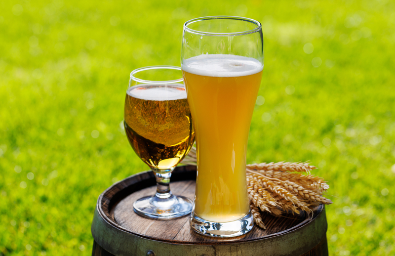 L'utilisation de la bière pour lutter contre les nuisibles.