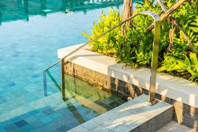 plantes choisir pour la filtration d'une piscine naturelle