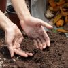 Activateur compost