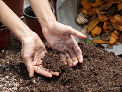 Activateur compost