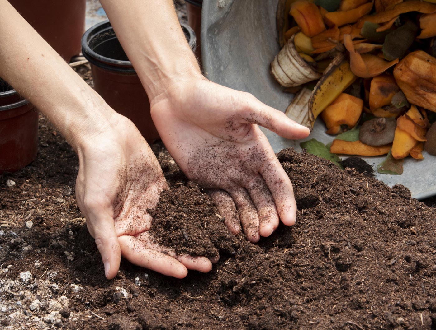 Activateur compost